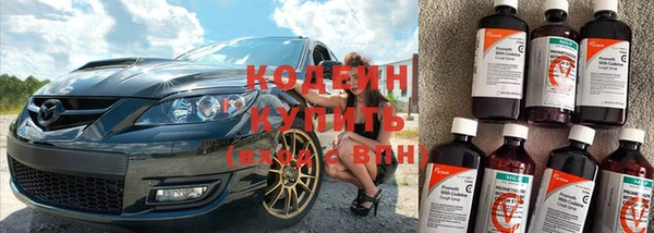 a pvp Бородино