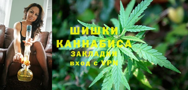 a pvp Бородино