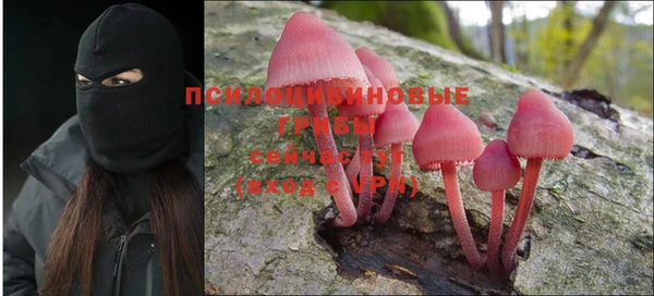 a pvp Бронницы