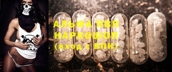 a pvp Бородино