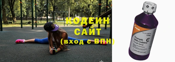 a pvp Бородино