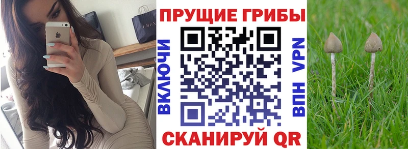 Псилоцибиновые грибы мухоморы  где купить наркоту  ОМГ ОМГ зеркало  Нурлат 